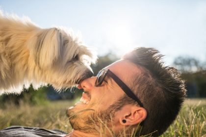 Socialising Your Dog for Boarding