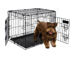 Best dog crate