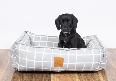 New puppy bolster dog bed