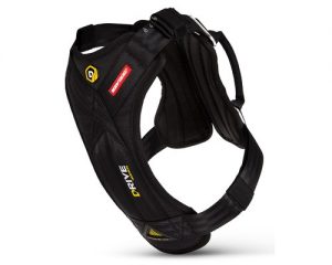 Running with your dog harness