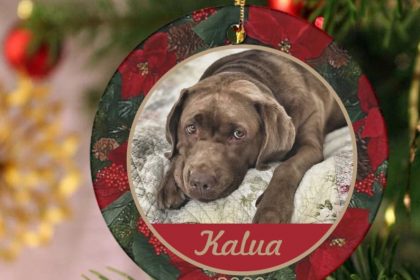 Personalised pet christmas decorations