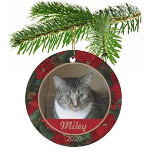 Personalised Pet Christmas Decorations